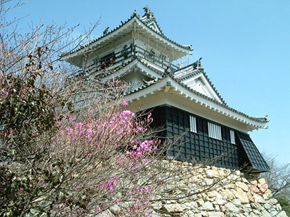 浜松城の画像（浜松エリア）